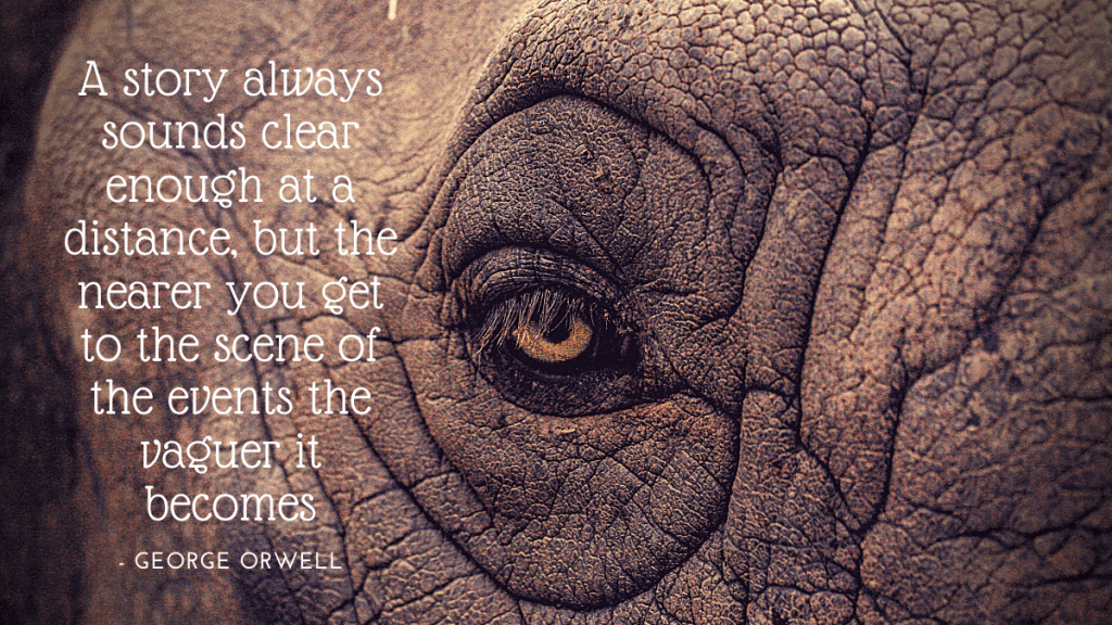 Close up image of an elephant's eye with a George Orwell quote